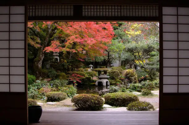 Jardin japonais zen